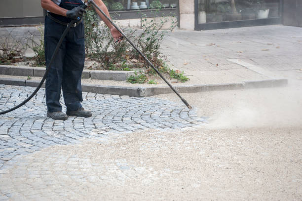 Winterizing Services in Palm Harbor, FL