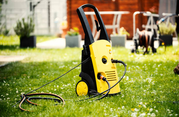 Best Sidewalk and Walkway Cleaning  in Palm Harbor, FL